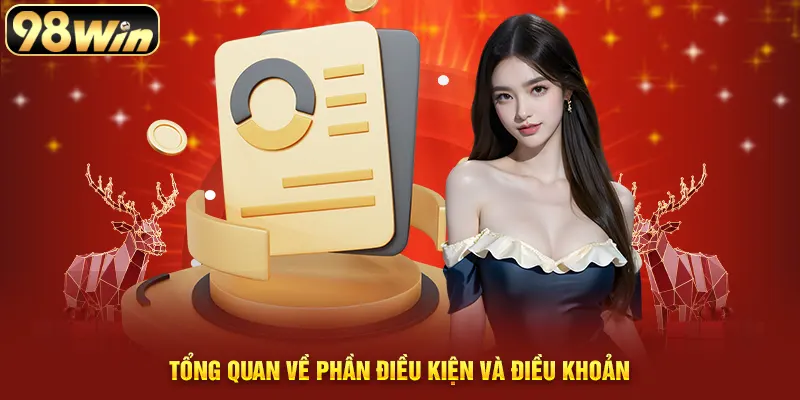 Tổng quan về phần điều kiện và điều khoản